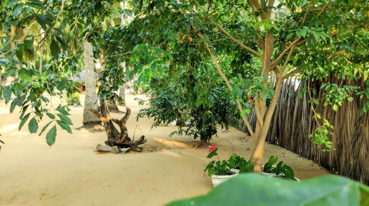 Roshanne Beach Resort Kalpitiya Exterior photo