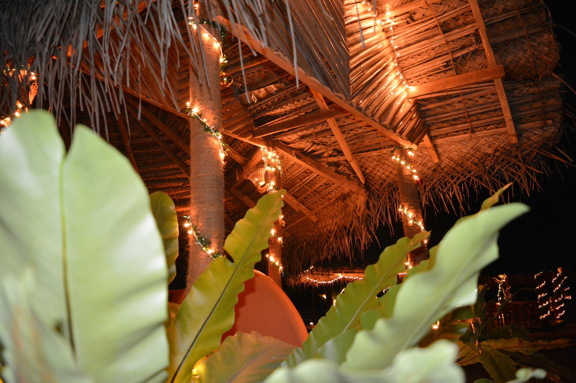 Roshanne Beach Resort Kalpitiya Exterior photo
